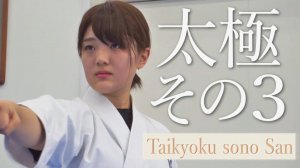 Тайкиоку Соно Сан - Ката Карате Кёкусинкай (Kyokushin Karate Kata - Taikyoku Sono San - 太極その3) v.3