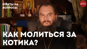 Как молиться за котика? / священник Игорь Фомин