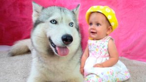 Бинго | Детские стишки и Песенки для детей+Детские сборники