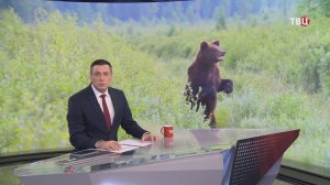 «Встал сзади и стал раскачивать»: подробности смертельного нападения медведя на Камчатке