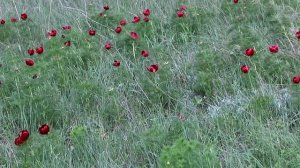 Валерий Рандин | ТОЧКА.РФ – МЕСТО | г. Сызрань