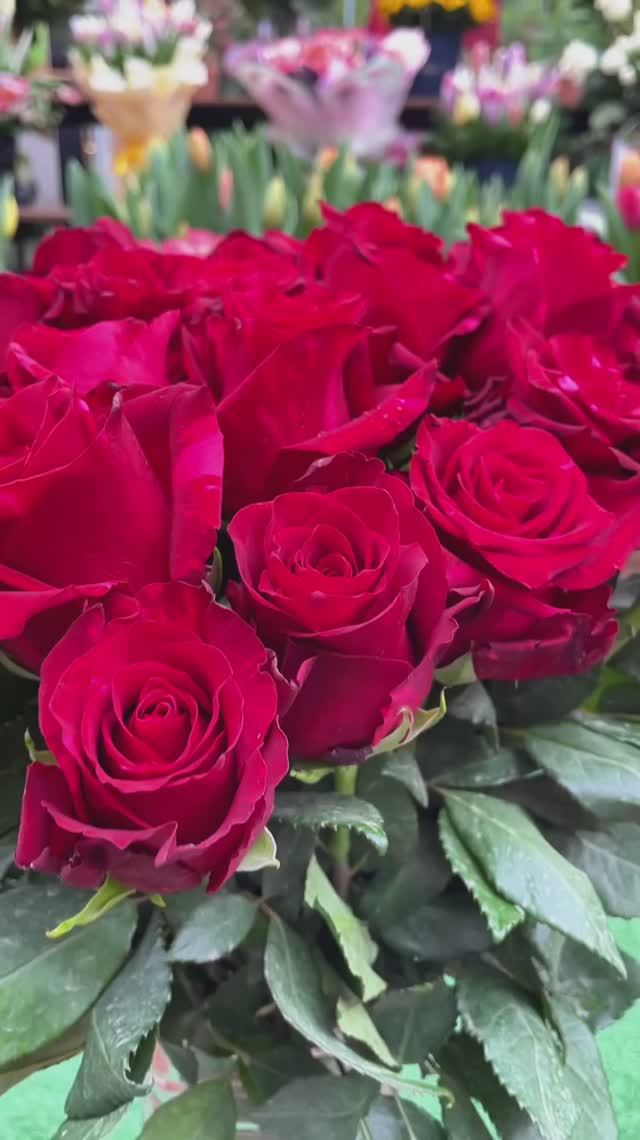 Туристическая компания В поисках приключений на фестивале цветов в Лиме