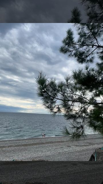 Пицунда... иногда