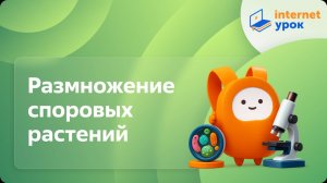 Биология 6 класс. Размножение споровых растений