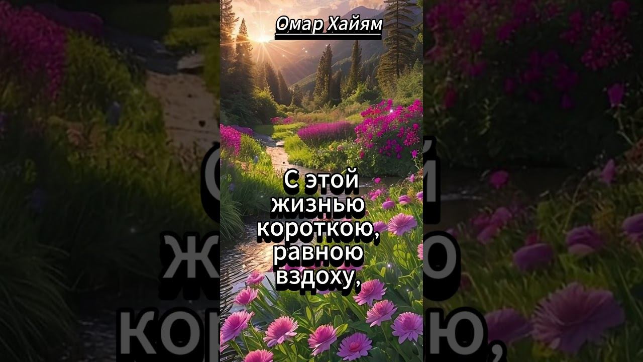 #shorts Не завидуй тому, смотреть онлайн