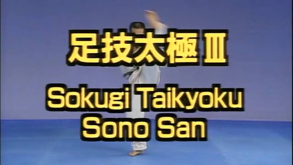 Сокуги Тайкиоку Соно Сан - Ката Карате Кёкусинкай (Kata Sokugi Taikyoku Sono San - 足技太極三段) v.1 смотреть онлайн