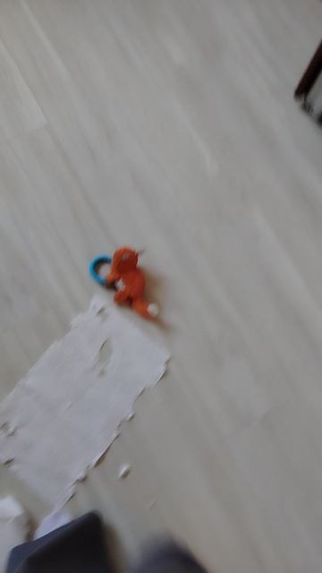 Сюрприз от собаки смотреть онлайн