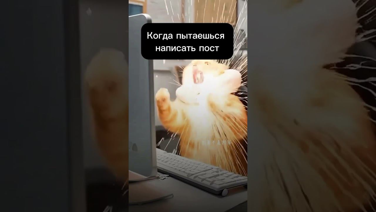 Готовые посты млм смотреть онлайн