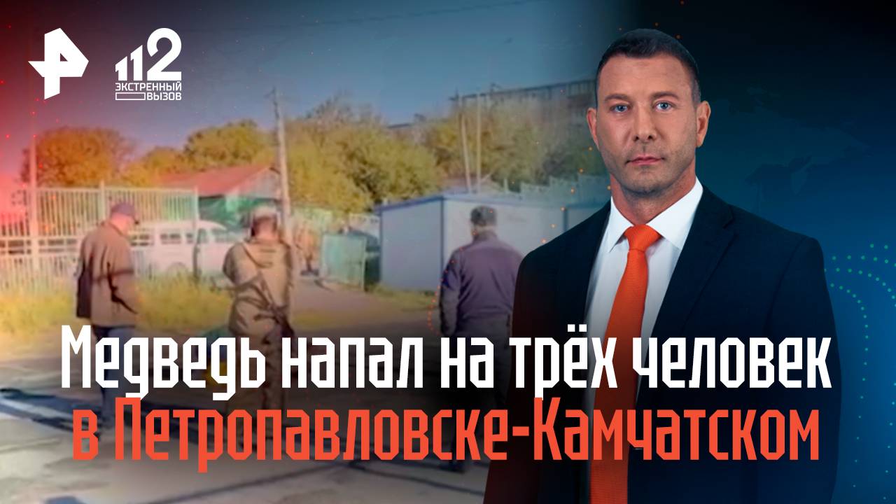 В Петропавловске-Камчатском застрелили медведя, напавшего на трех человек смотреть онлайн