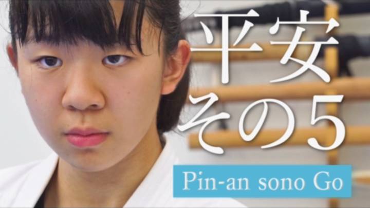 Пинан Соно Го - Ката Карате Кёкусинкай (Kata Pinan Sono Go - 平安五段) v.5 смотреть онлайн