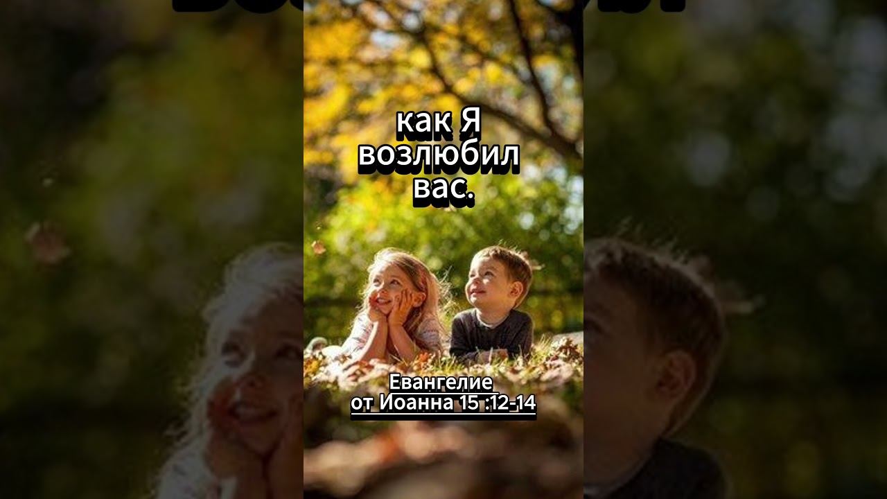 #shorts Евангелие от Иоанна 15 :12 -14 Библия смотреть онлайн