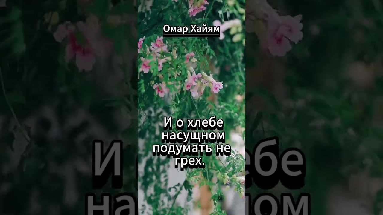 #shorts. Хорошо, если платье твое без прорех..Омар Хайям смотреть онлайн