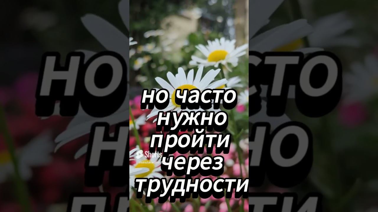 #shorts Когда хорошо #музыка #мудрость #любовь смотреть онлайн