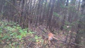 Второй в этом сезоне. Выезд 26.09.2025г.