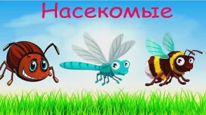 Насекомые для детей 🐝 Учим насекомых 🐜 Насекомые звуки  Развивающее