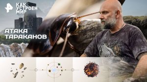 Атака тараканов — Как устроен мир с Тимофеем Баженовым (26.09.2025)