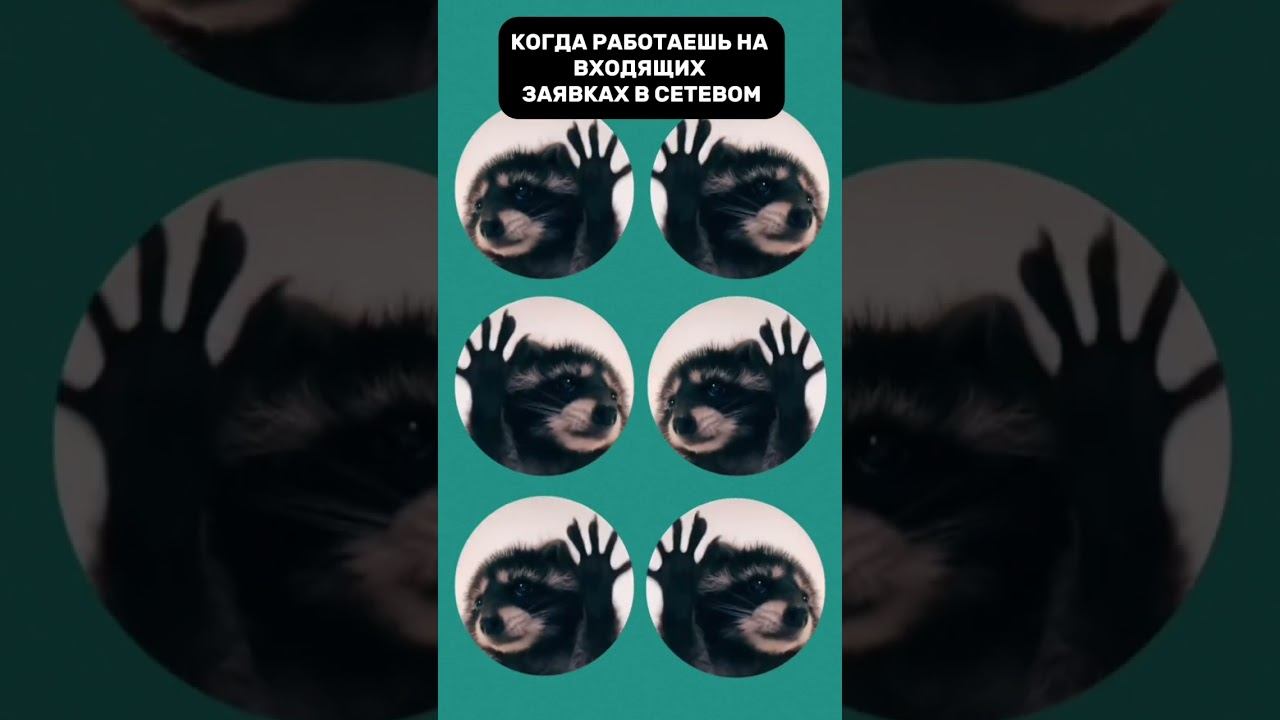 Когда работаешь на входящих заявках в сетевом смотреть онлайн