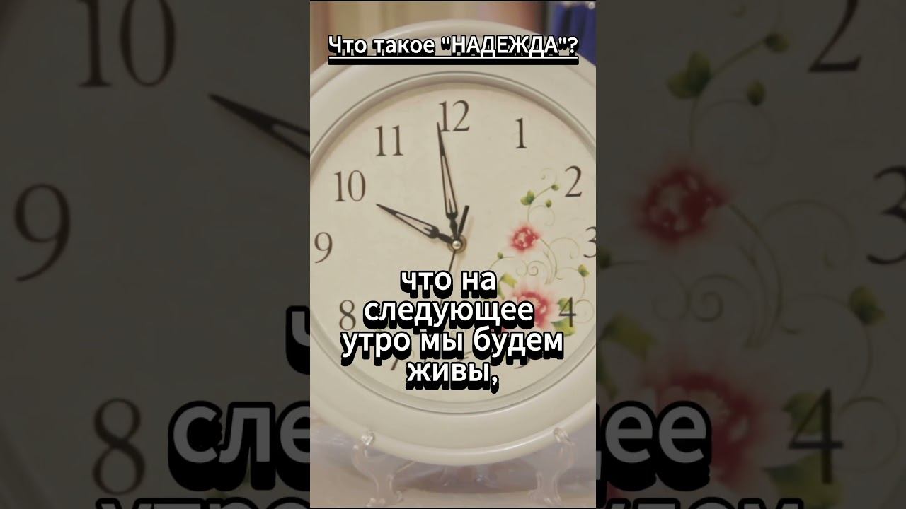 #shorts Что такое НАДЕЖДА смотреть онлайн