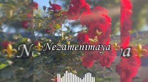 🔊_ ⚜️🔥Цыганская песня _2025 Дэнти_мангэ_швар Высшо Гили 🔥 ДлЯ _НаСтРоЕнИе 💯⚜️