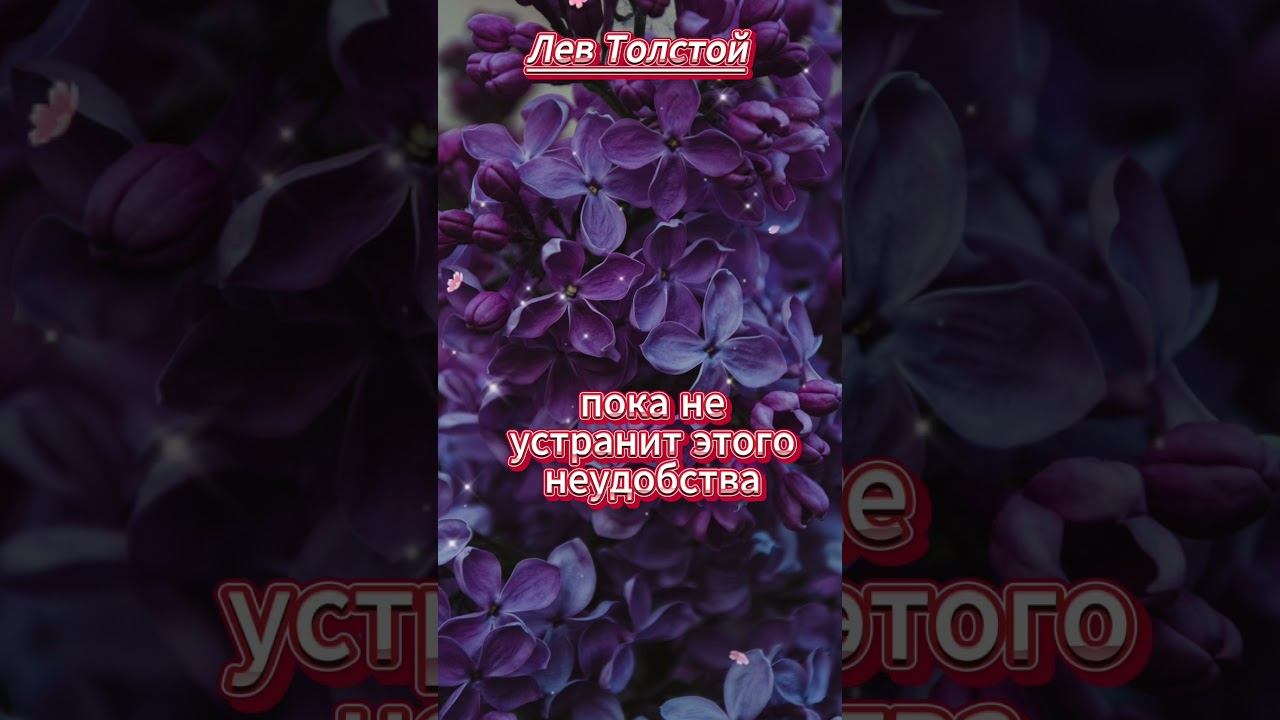 #shorts Человек обязан быть счастлив смотреть онлайн