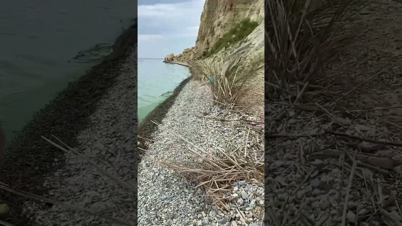 Я горила смотреть онлайн