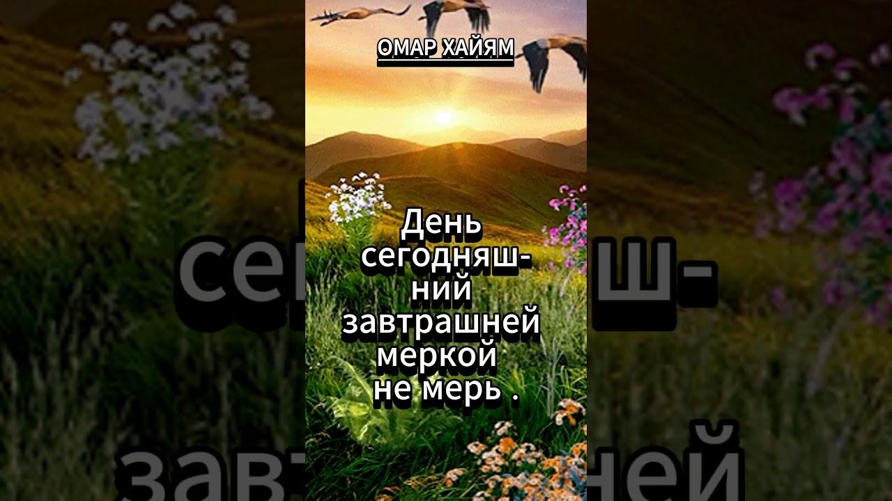#shorts Омар Хайям. Не оплакивай смертный... смотреть онлайн