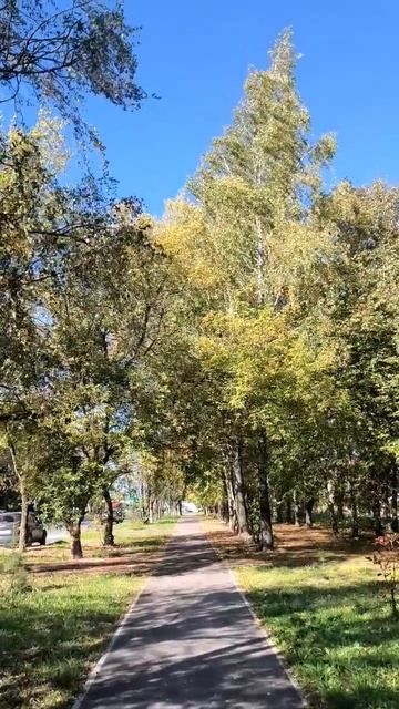 На районе смотреть онлайн