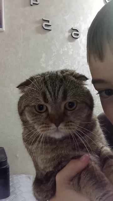 2025-09-26 смотреть онлайн