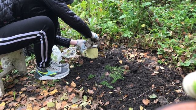 Неожиданно на даче появилось ещё 2 новых растения смотреть онлайн