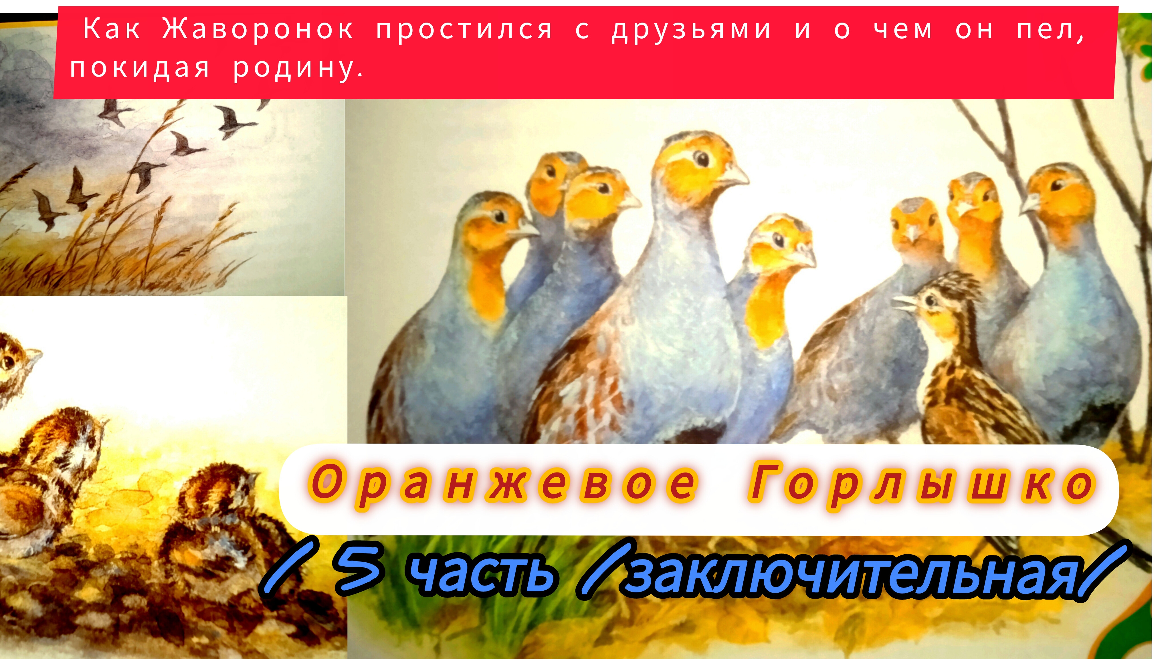 "ОРАНЖЕВОЕ ГОРЛЫШКО /5 часть заключительная 🍁🍁🍁🌾😘👍🌠🌜/ смотреть онлайн