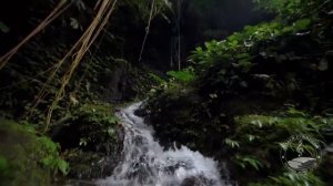 'ВАЖНЫЕ СЛОВА' - музыка Павел Ружицкий