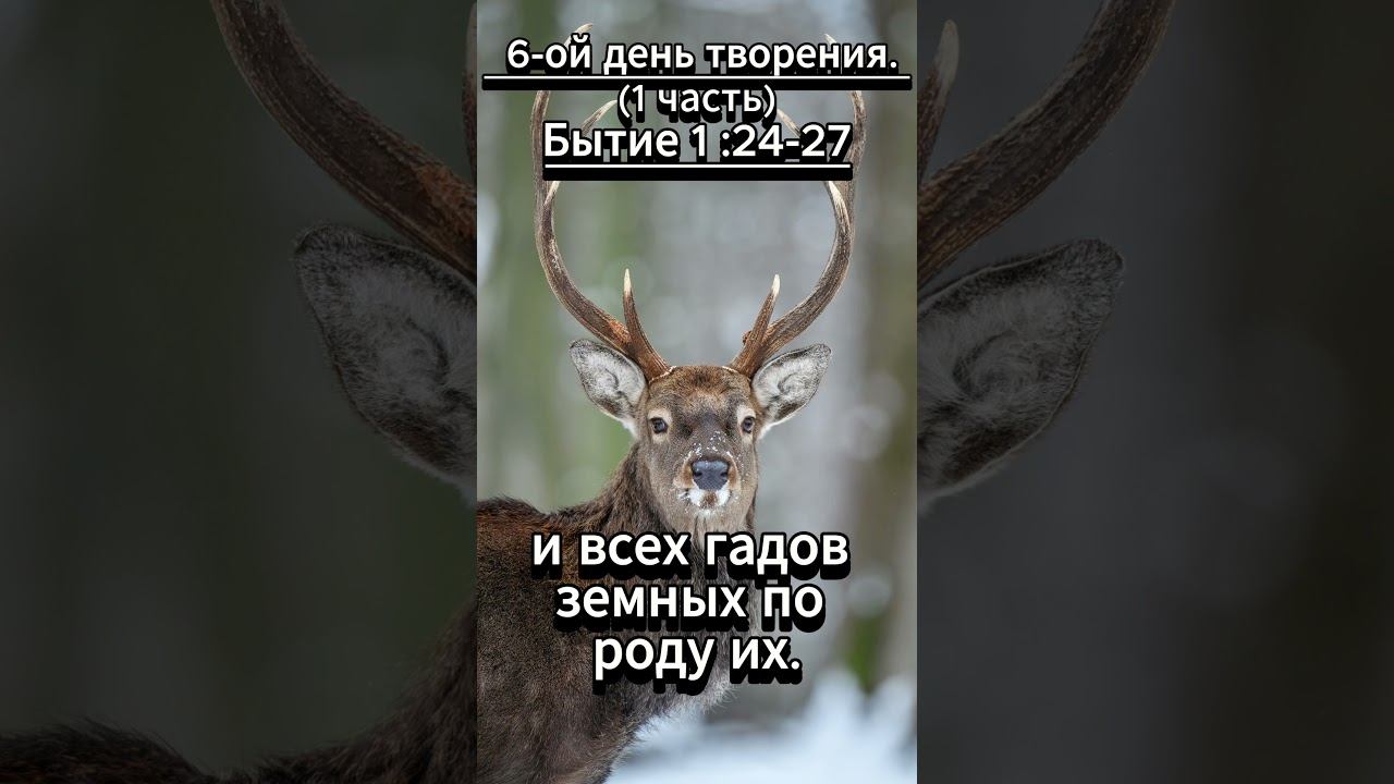 #shorts 6-ой день творения (1 часть) смотреть онлайн