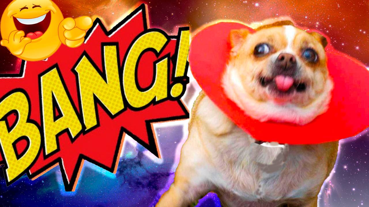 ЛУЧШИЕ ПРИКОЛЫ СЕНТЯБРЬ 2025 | ПОПРОБУЙ НЕ ЗАСМЕЯТЬСЯ | ТЕСТ НА ПСИХИКУ | РЖАКА ДО СЛЕЗ смотреть онлайн