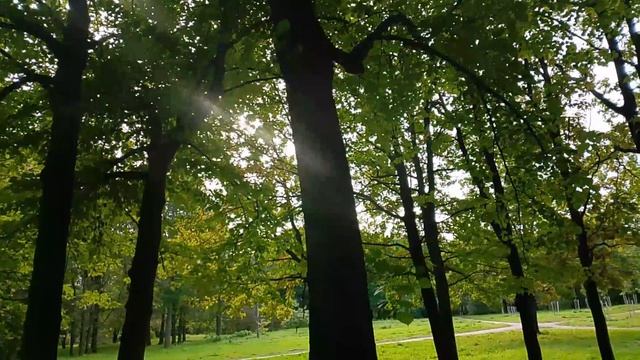 Осенний парк смотреть онлайн