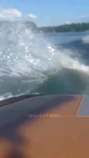 Вот и покатались 🤣🤣
подписывайтесь на перчик🌶🌶 тут всё для хорошего настроения☺☺☺
#приколы #перчик #