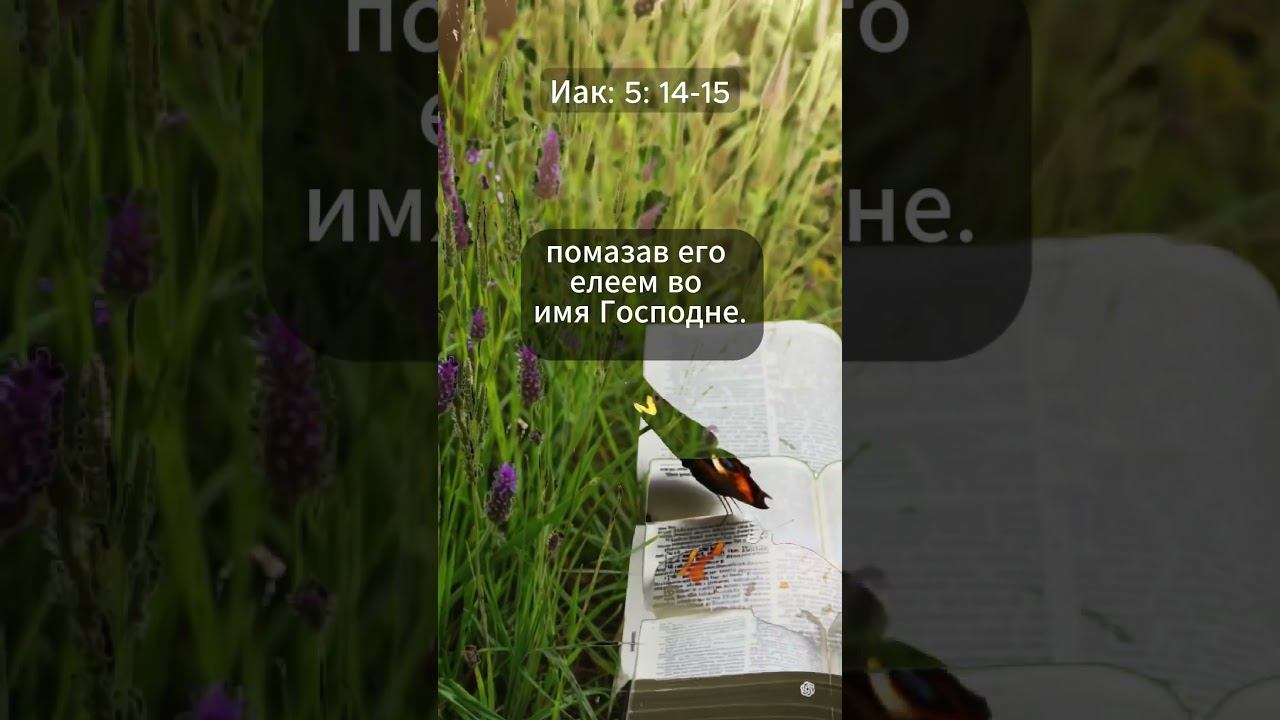 Молитва, которая исцеляет | Иакова 5:14–15 | Сила веры в действии смотреть онлайн
