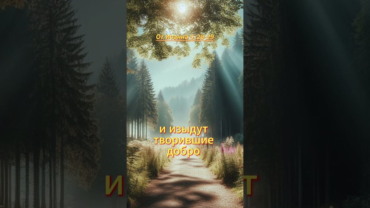 #shorts От Иоанна 5: 28 -29 смотреть онлайн