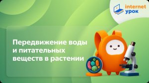 Биология 6 класс. Передвижение воды и питательных веществ в растении