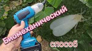 Как избавиться от белокрылки - автопылесос в помощь