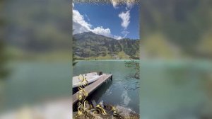 НА ДЕРЕВНЕ ТУМАН