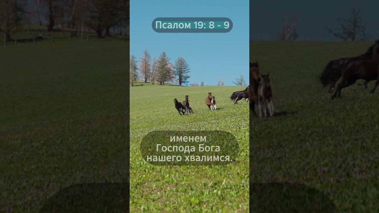 Псалом 19 :8 - 9️ Слова, которые оживляют душу... смотреть онлайн
