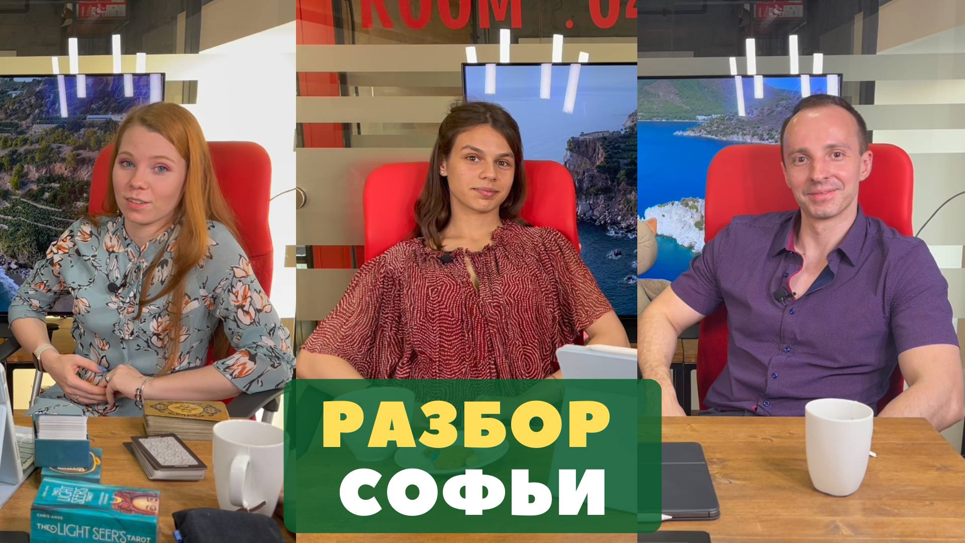 Разбор Софьи