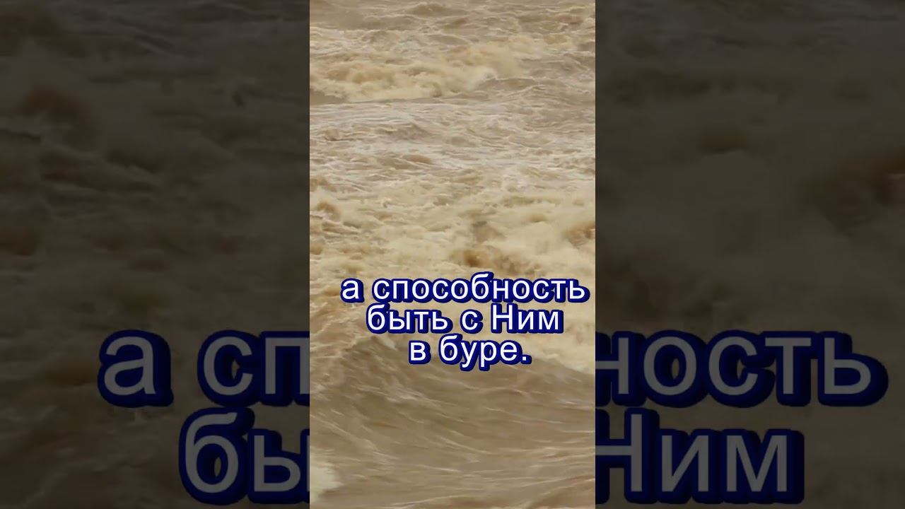 #shorts Надежда в буре смотреть онлайн