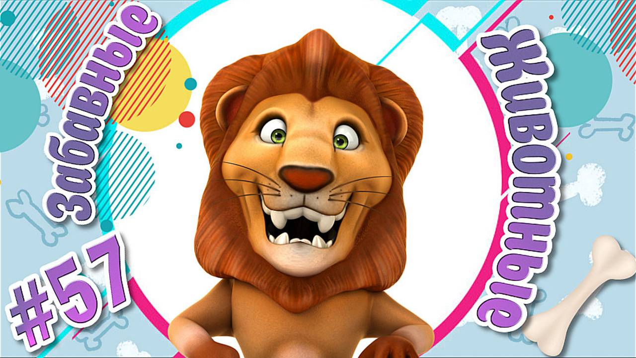 Забавные и Смешные Животные № 57 + Лучшие Подборки Животных + Смешные и Прикольные Животные