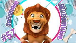 Забавные и Смешные Животные № 57 + Лучшие Подборки Животных + Смешные и Прикольные Животные