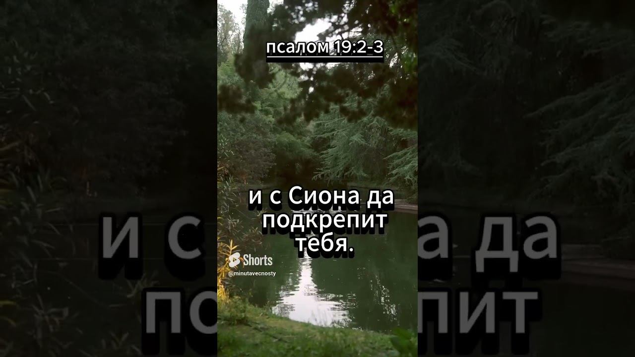 #shorts Псалом 19 2 3 смотреть онлайн