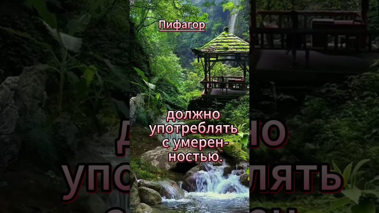#shorts Шутку как и соль смотреть онлайн