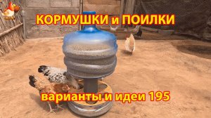 Кормушки и поилки для кур своими руками (195) 🪚✂️ Пошаговая инструкция как сделать 🐔 🐓❣️