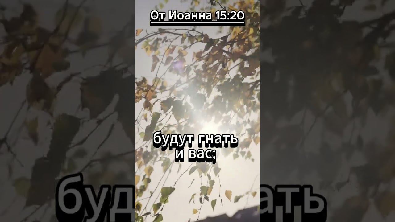 #shorts От Иоанна 15:20 смотреть онлайн
