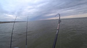 трофейная рыбалка по сазану и лещу на Дону #сазан #лещ #рыбалка #осень #дон